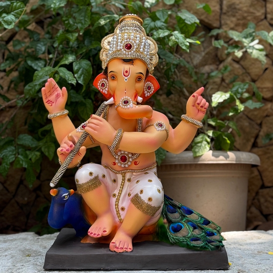 20" Krishna DW