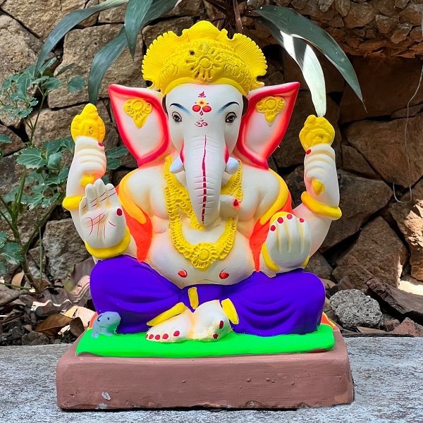 12" Maysuri No 16 DPUSO