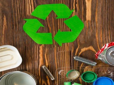Discover the Plastic Recycling Industry