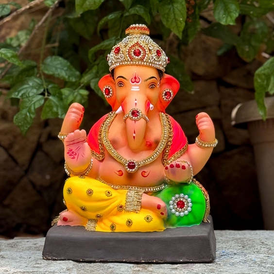 12" Shivrekar DY