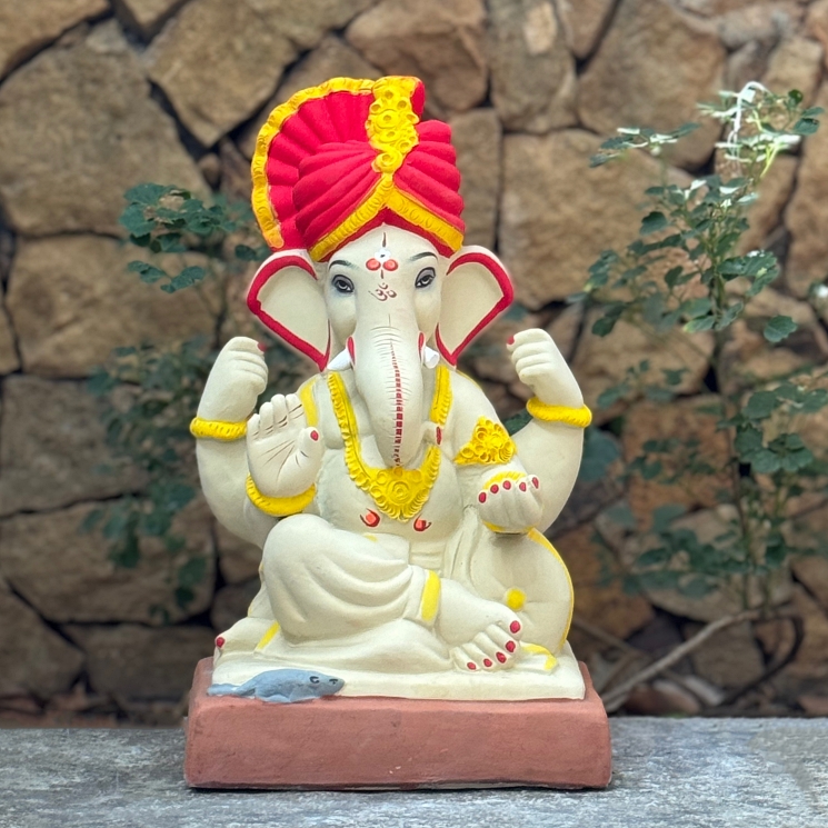 16'' Shivrekar Feta No 12