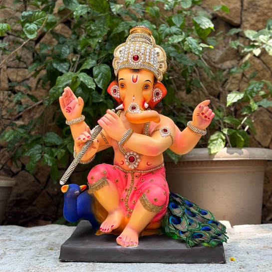 20" Krishna DLP