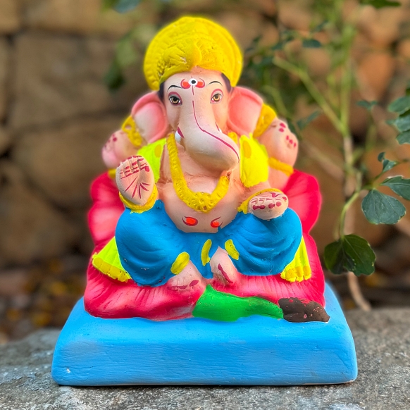 6'' Jaswant Phool No 20 CM