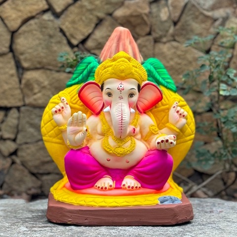 15'' Kalash Maysuri No 12 CM NM